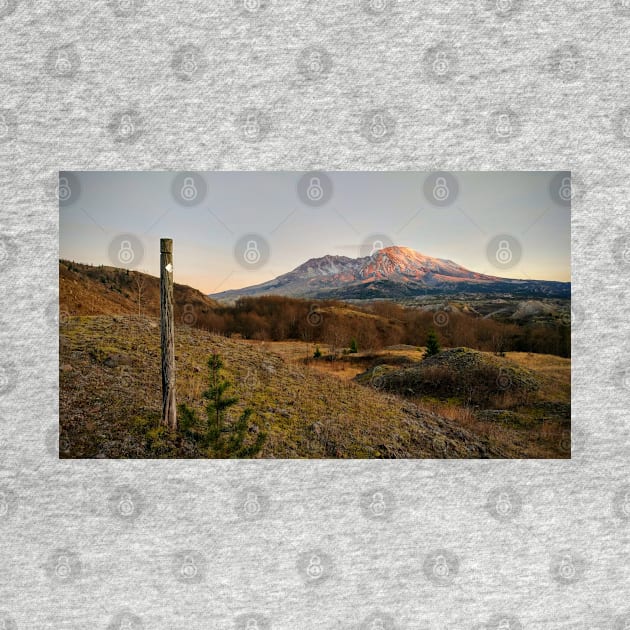 Mt St Helens Trail Marker by Rebekah Slick